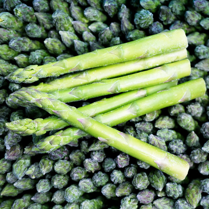 速冻绿芦笋