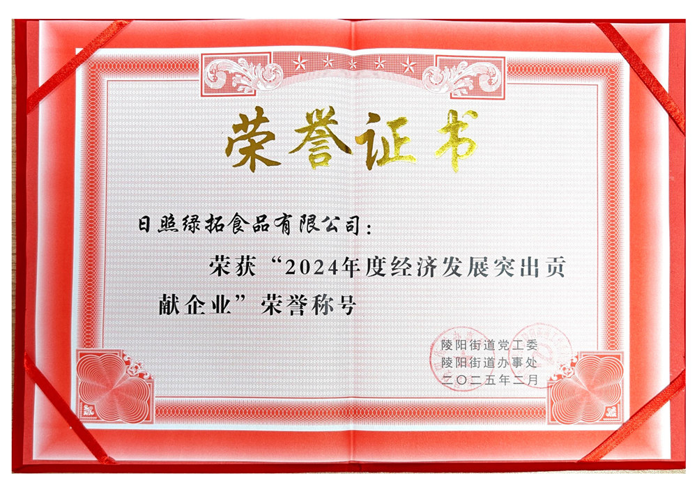 2024年度经济发展突出贡献企业