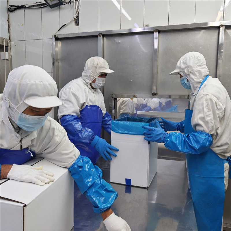 technological process